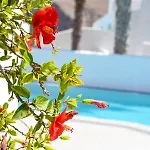 Hotel Kouros Village - Adults Only 4*