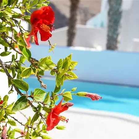 ホテル Kouros Village - Adults Only 4*