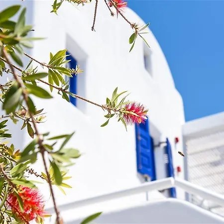 ホテル Kouros Village - Adults Only ペリッサ